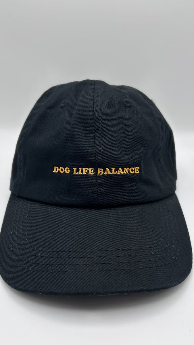 Nahaufnahme der dog life balance dad cap von arrel in orange & schwarz